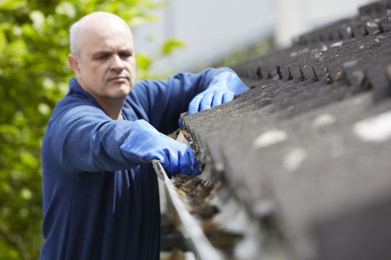 Gutter Cleaning in Maineville