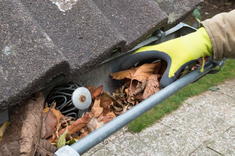 Clogged Gutter Blockages